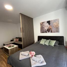 Vlasic Apartmani HANA, hôtel à Vršac