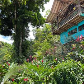 Ecolodge el Arca Bahia Solano, hotel in Bahía Solano