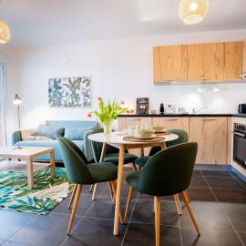 Appartement T2 avec grande terrasse et parking
