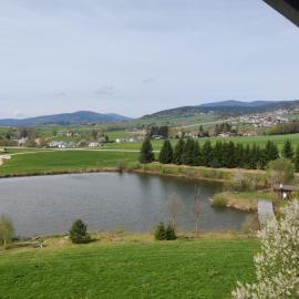 Campingplatz Pfoser, hotel in Stollnberg