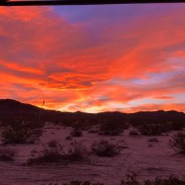 TeePee at Mojave, hotel in Joshua Tree