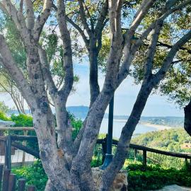 Villa Azzurra a due passi dal mare, hotel v destinaci Is Traias