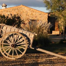 Finca Los Caleros、Juan Gallegosのホテル