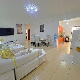 Lavish Homely Apt 5