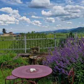 La Roue, logement indépendant, jolie vue, hotel in Vindry-sur-Turdine