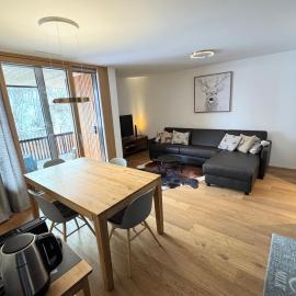 Beautiful Sunny New 1 Bed Apt (2.5Zim). Ski in/out, hotel di Flims