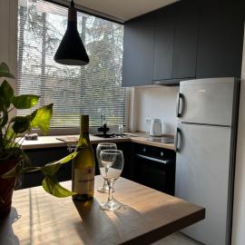 Karposh garden apartment โรงแรมในสโกเปีย