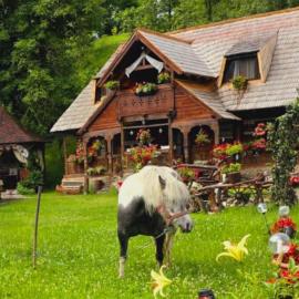 Pensiunea Rustic Oncesti, hotel din Onceşti