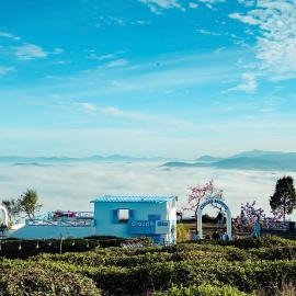 Cloud9 & Cloud View Glamping、ダラットのホテル