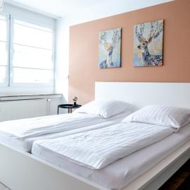 Ferienwohnung Schaaf, zentrale Lage, Klimatisiert, Netflix, inklusive Parkplatz, Hotel in Limburg an der Lahn