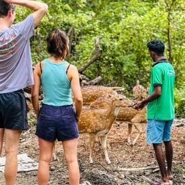 Nehansa Resort and safari