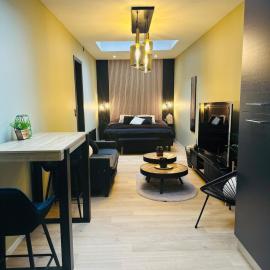 Élégant appartement avec bain balnéothérapie