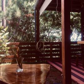 Suite au milieu des arbres