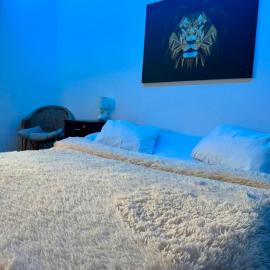 UltraCentral Cozy Apartment