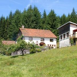 Blanche-Roche, gîte en lisière de fôret