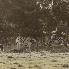 Wild Paradise Farmstay, hotel v destinaci Lorraine