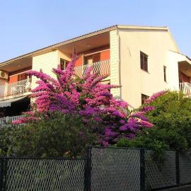 Apartment Ljube