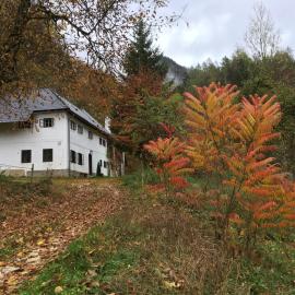 Forsthaus Gut Traunfried, מלון בRamsau