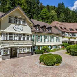 Waldhotel Bad Sulzburg, hotel sa Sulzburg