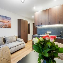 Stylish studios near the city center