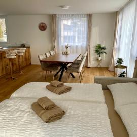 Engler Apartments, hotelli kohteessa Zizers