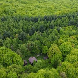 ZADA nature lounge, hotel i Cluj-Napoca