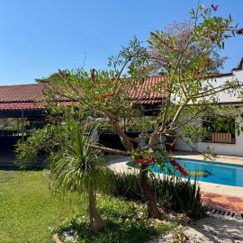 Casa Palma, hotel in Xochitepec