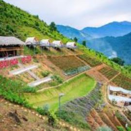Mây Homestay - Venuestay, hotel din Trạm Tấu