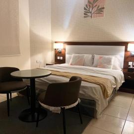 قصر الريان, hotel u gradu Buraymān