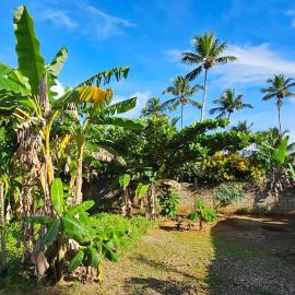 Villa Jardín Tropical