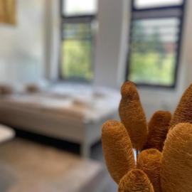 Ferien und Monteurwohnung Bremerhaven Zentrum