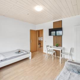 home2stay Wohnungen in Hanau PARKING, SMART TV, WIFI