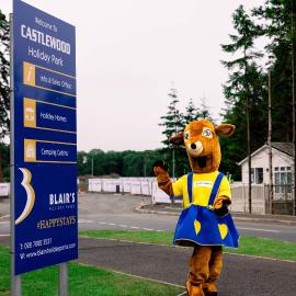Castlewood Holiday Park, hotel in Antrim