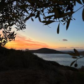 Delfini Suites, khách sạn ở Ano Syros