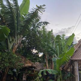KijijiShamba – hotel w Mto wa Mbu