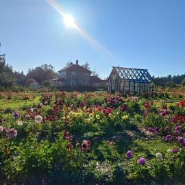 Woodside Farm Country Inn, hotel a Sooke
