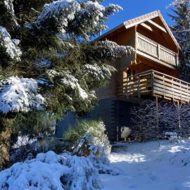 Chalet Mon Beau Sapin - L'orée secrète des Vosges au calme, מלון בAnould