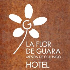 Mesón de Colungo, hotel in Colungo