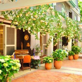 福来小院民宿, hotel a Jiezi Ancient Town