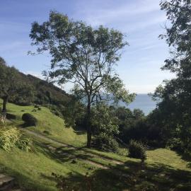 Gower cottage for 2-4 with sea views near sandy beach