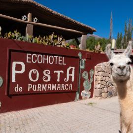 Ecohotel Posta de Purmamarca, hotel in Purmamarca