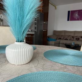 Apartament Sonia - 2 dormitoare
