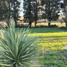 Emplacement camping car chez agriculteur branchement électrique, hotel in Barbentane