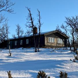 Cozy cabin near Geilo & Dagali terrace, grill, fireplace, view & WiFi, Hotel in Holo