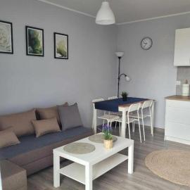 Apartament Wałowa 2