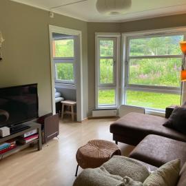 Actif 318 apartment - close to ski slopes in Ål, hotel en Ål