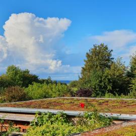 Ferienwohnung Hafenblick Ferienhof Geltinger Bucht