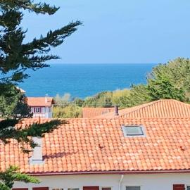 Appartement de standing au centre du village, מלון בגטארי