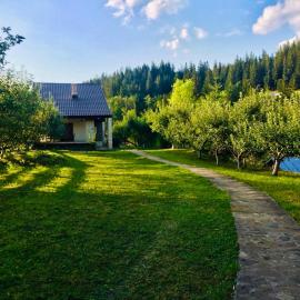 Forest Chalet Sucevita
