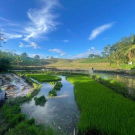 Toquero Family Farm, hotel a Bayawan
